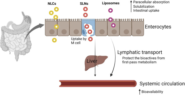 Lipid-based oral formulation in capsules to improve the delivery of poorly water-soluble drugs.