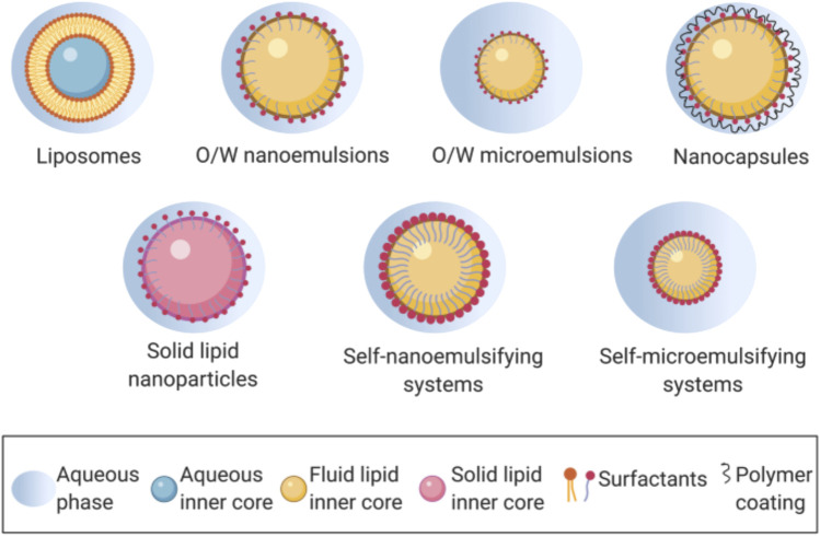 Lipid-based oral formulation in capsules to improve the delivery of poorly water-soluble drugs.