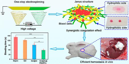 One-step Preparation of Antibacterial Gelatin/Polycaprolactone Nanofibrous Janus Membranes for Efficient Hemostasis