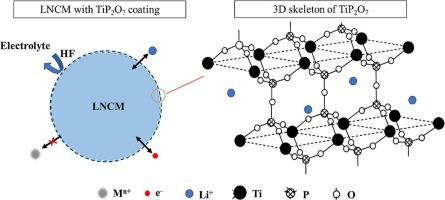 Improving electrochemical performance of LiNi0.8Co0.1Mn0.1O2 cathode via polyanionic TiP2O7 coating