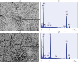 The Corrosive Activity of Microorganisms Isolated from Fouling of Structural Materials in the Coastal Zone of the Barents Sea