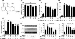 Rhein alleviates advanced glycation end products (AGEs)-induced inflammatory injury of diabetic cardiomyopathy in vitro and in vivo models