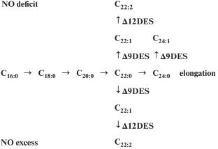 Effect of Auxin on Fatty Acid Composition and Activity of Acyl-Lipid Desaturases in Seedlings of Spring Wheat Triticum aestivum L.