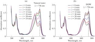 Interaction of Methylene Blue Dye with the Surface of a Polymer Membrane during Soaking in an Aqueous Solution: Dependence on the Isotopic Composition of Water