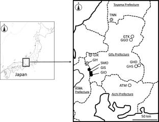 Population genetic structure of wild Angelica acutiloba, A. acutiloba var. iwatensis, and their hybrids by atpF–atpA intergenic spacer in chloroplast DNA and genome-wide SNP analysis using MIG-seq