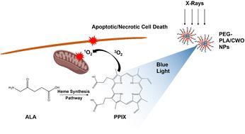 Radiation-induced photodynamic therapy using calcium tungstate nanoparticles and 5-aminolevulinic acid prodrug†