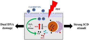 A dual-sensitive nanoparticle-mediated deepening synergistic therapy strategy involving DNA damage and ICD stimuli to treat triple-negative breast cancer†