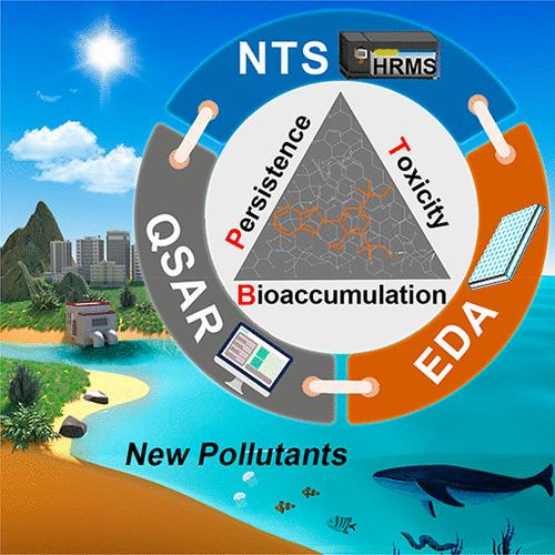 Identification and Prioritization of Environmental Organic Pollutants: From an Analytical and Toxicological Perspective