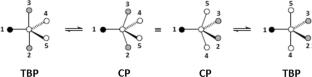 Homo- and Heteronuclear NMR Methods for Signal Assignments in 1H and 13C Spectra of 1-Aminoacyloxygermatran