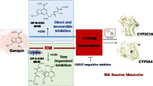 Unraveling a Combined Inactivation Mechanism of Cytochrome P450s by Genipin, the Major Reactive Aglycone Derived from Gardeniae Fructus
