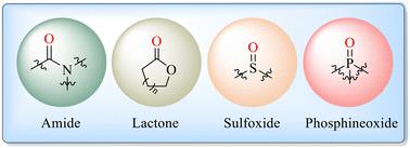 Theoretical study of reductive CO2 functionalization with amines and phenylsilanes: what kind of solvents can be used as catalysts?†