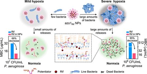 Precision Dosing of Antibiotics and Potentiators by Hypoxia-Responsive Nanoparticles for Overcoming Antibiotic Resistance in Gram-Negative Bacteria