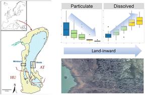 Fate of nutrients and trace contaminants in a large shallow soda lake. Spatial gradients and underlying processes from the tributary river to the reed belt†