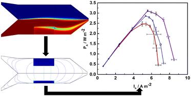 Microfluidic membraneless microbial fuel cells: new protocols for record power densities†