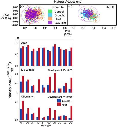 Vegetative phase change causes age-dependent changes in phenotypic plasticity