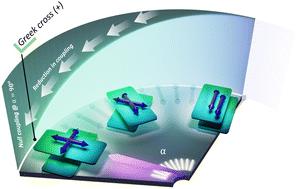 Keeping the chromophores crossed: evidence for null exciton splitting