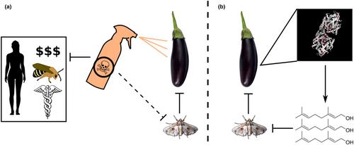 Reducing eggs on eggplant: a common naturally emitted plant volatile could replace insecticides in the ‘king of vegetables’