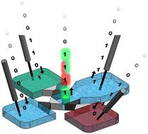 Logic gating of low-abundance molecules using polyelectrolyte-based diodes†