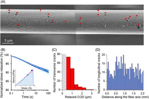 Mechanisms of damage and fracture of aramid fibers: Focus on the role of microfibril cooperativity in fracture toughness