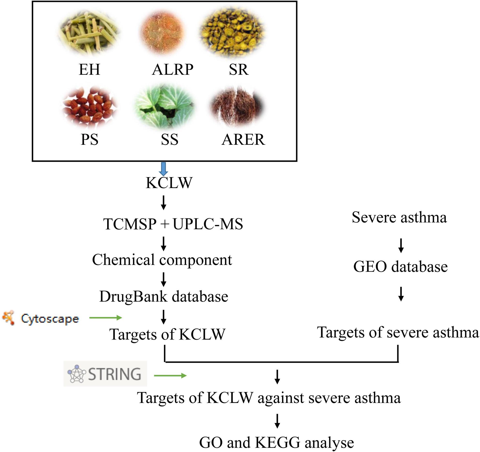 Elucidation of the mechanisms and molecular targets of KeChuanLiuWei-Mixture for treatment of severe asthma based on network pharmacology