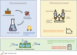 Impact of perfluorooctanoic acid (PFOA) and perfluorooctane sulfonic acid (PFOS) on secondary sludge microorganisms: removal, potential toxicity, and their implications on existing wastewater treatment regulations in Canada