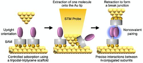 Precise Orientational Control of Electroactive Units Using a Tripodal Triptycene Scaffold to Direct Noncovalent Pairing at the Single Molecular Level