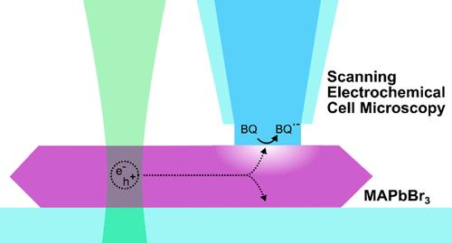 Facet-Dependent Photoelectrochemistry on Single Crystal Organic–Inorganic Halide Perovskite Electrodes