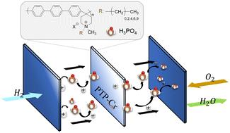 The effect of grafted alkyl side chains on the properties of poly(terphenyl piperidinium) based high temperature proton exchange membranes†