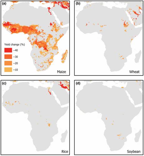 Drought-tolerant succulent plants as an alternative crop under future global warming scenarios in sub-Saharan Africa