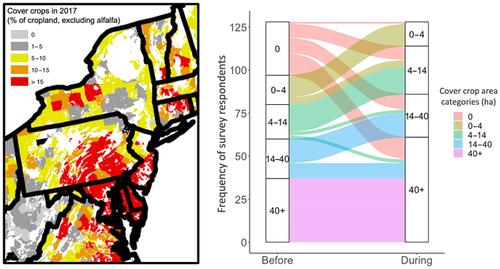 Incentive programs promote cover crop adoption in the northeastern United States