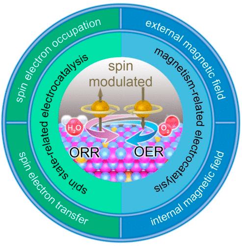 Spin-Modulated Oxygen Electrocatalysis