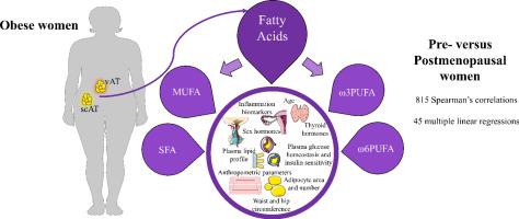 Adipose tissue fatty acids as biomarkers for metabolic dysfunction in obese females: Implication of menopause and ageing