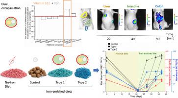 Dual and triple encapsulated iron gluconate speed up anemia recovery in an animal model