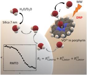 Radicals on the silica surface: probes for studying dynamics by means of fast field cycling relaxometry and dynamic nuclear polarization