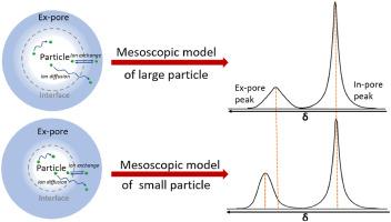 Investigating particle size effects on NMR spectra of ions diffusing in porous carbons through a mesoscopic model