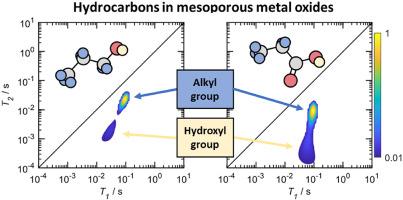 Functional group resolved NMR relaxation of 3-carbon adsorbates in mesoporous alumina