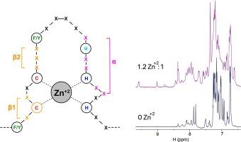 NMR structure verifies the eponymous zinc finger domain of transcription factor ZNF750