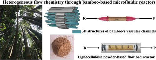 Heterogeneous flow chemistry through bamboo-based microfluidic reactors