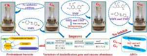 Effects of antibiotics on corncob supported solid-phase denitrification: Denitrification and antibiotics removal performance, mechanism, and antibiotic resistance genes