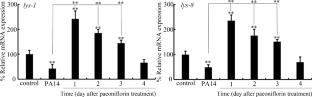 Paeoniflorin increases the survival of Pseudomonas aeruginosa infected Caenorhabditis elegans at the immunosuppression stage by activating PMK-1, BAR-1, and EGL-1 signals