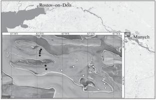 The Structure of a Soil Nematode Community in Dry Steppe Phytocenoses of Vodnyi Island (State Biosphere Reserve Rostovskii) during the Spring Period