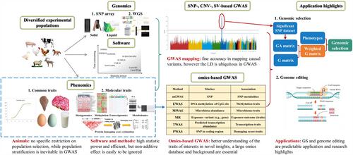 Research progress and applications of genome-wide association study in farm animals