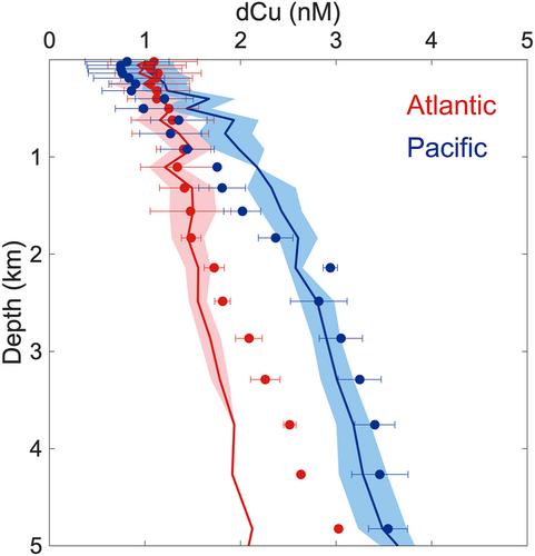 Toward a Better Understanding of the Global Ocean Copper Distribution and Speciation Through a Data-Constrained Model