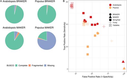 Welcome to the big leaves: Best practices for improving genome annotation in non-model plant genomes