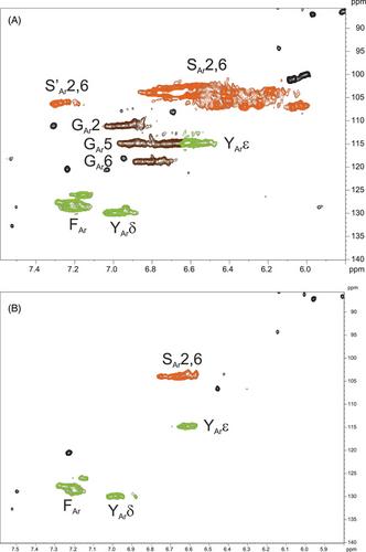 Metabolic Fate of Lignin in Birch Glucuronoxylan Extracts as Dietary Fiber Studied in a Rat Model