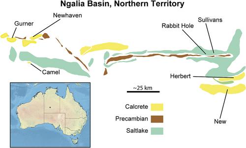 Phylogenetic placement and description of Ngaliadessus humphreysi gen. et sp. nov., Watts & Villastrigo (Coleoptera: Dytiscidae), a subterranean diving beetle from the Ngalia Basin in central Australia