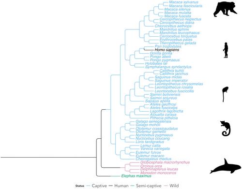 No time to die: Evolution of a post-reproductive life stage