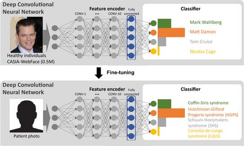 Computational facial analysis for rare Mendelian disorders