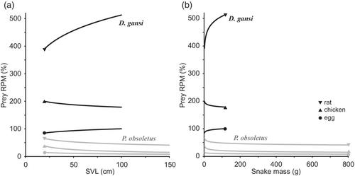 Scaling relationships of maximal gape and prey size of snakes for an egg-eating specialist (Dasypeltis gansi) and a dietary generalist (Pantherophis obsoletus)