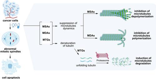 Microtubule-targeting agents for cancer treatment: Seven binding sites and three strategies